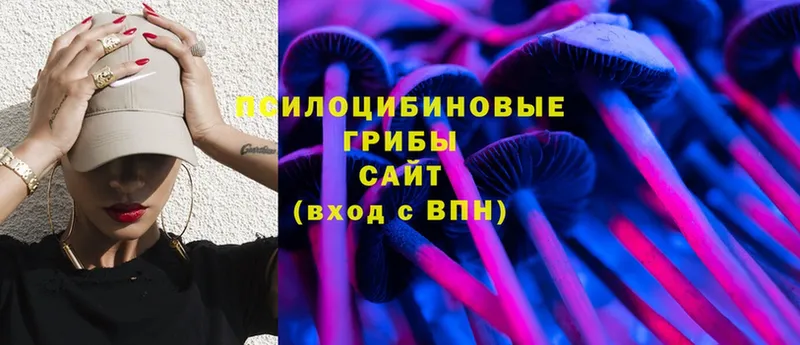 как найти закладки  Северская  Галлюциногенные грибы MAGIC MUSHROOMS 